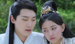 穿越剧电视剧,梦回古代的奇幻之旅